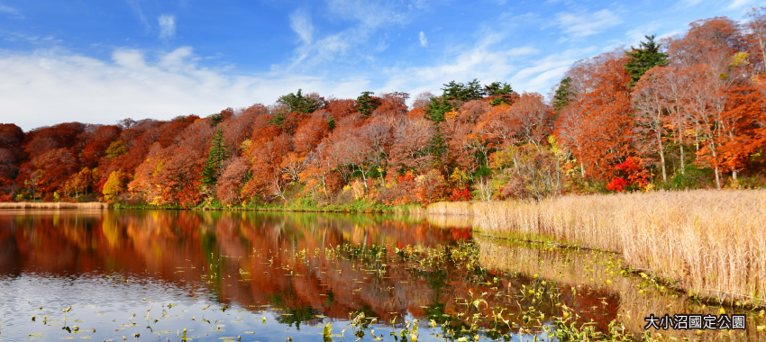 大、小沼國定公園